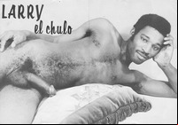 gay porn Pics vintage larry retro vintage gay erotica porn cock facial hair ass butt nude page