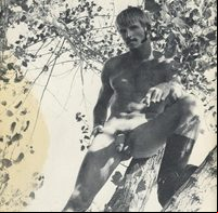 vintage gay porn Picture 