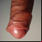 uncut cock